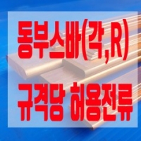 동버스바 허용…